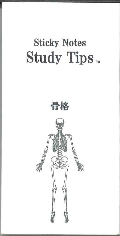 【メール便OK】松浦紙器 Sticky Notes Study Tips.骨格ふせん　FS-SST006【4589467521977】