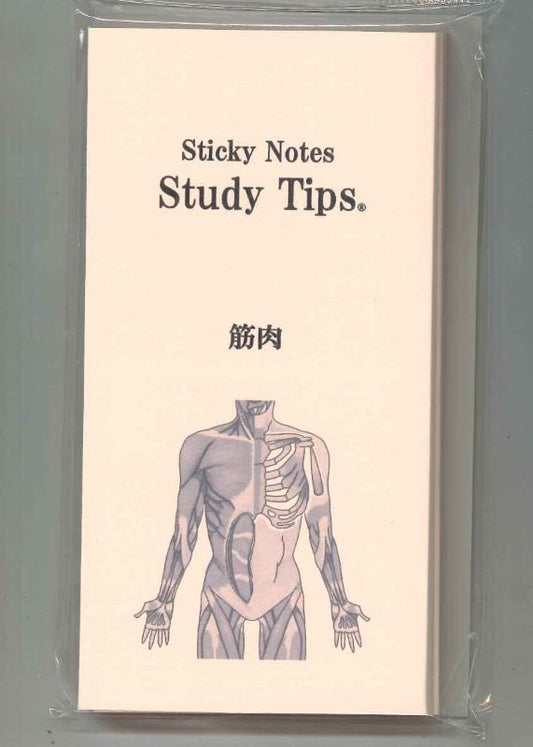 【メール便OK】松浦紙器 Sticky Notes Study Tips.筋肉ふせん　FS-SST008【4589467522158】