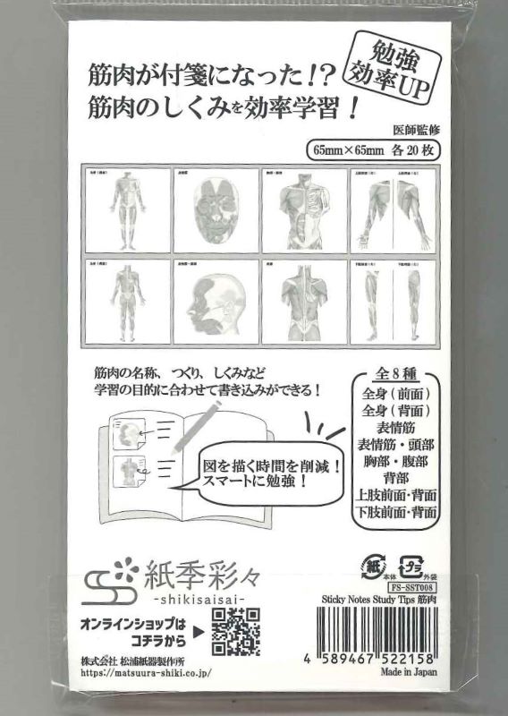 【メール便OK】松浦紙器 Sticky Notes Study Tips.筋肉ふせん　FS-SST008【4589467522158】